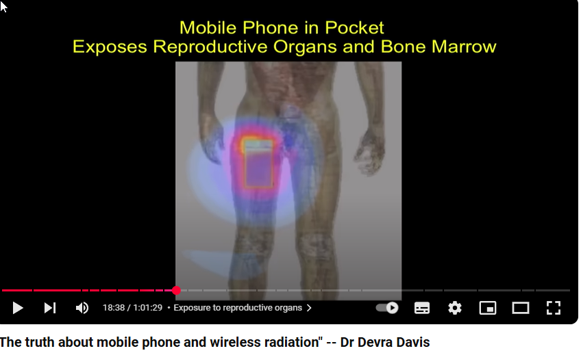 ScreenHunter 473.png